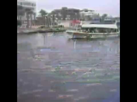 new eritrean music metabiti