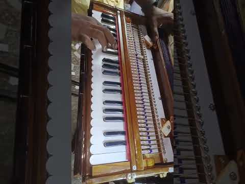 Superbrass Calcutta Fixed Design (non-folding) Professional Teak Wood Harmonium w Palitana Reeds. USA TARIFF INCLUDED image 7