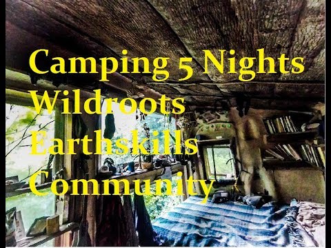 download lagu mp3 mp4 Wildroots, download lagu Wildroots gratis, unduh video klip Wildroots