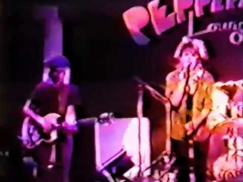 The Go-Go's - Live at Peppermint Lounge (New York 1981)(DHV 2011)