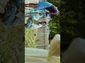 Yathe Yathe Song Landscape What Sapp Status