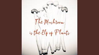 The Mushroom Is the Elf of Plants