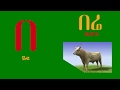 Ethiopian Amharic Alphabet | የአማርኛ ፊደል የበ ቤት