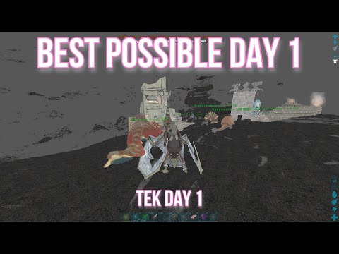How the #1 Tribe Starts a Wipe ARK Day 1