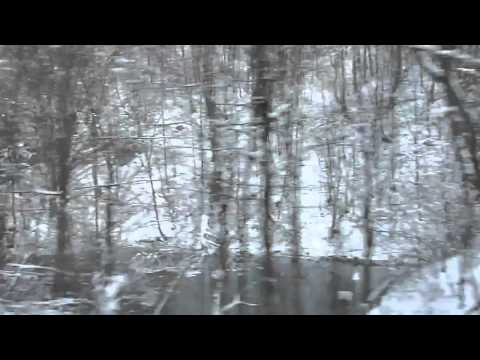 Calatorie cu P3644 pe ruta Vadu Crisului h. - Pestera (Winter Edition) (31 01 2011)