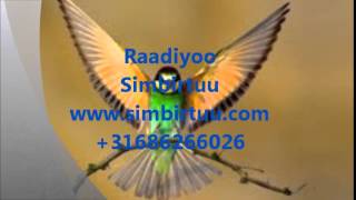 Simbirtuu 28 05 2015