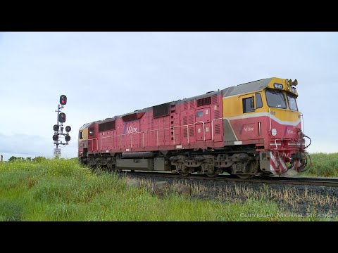 Vline N467 Light Engine Movements At Gheringhap (2/11/2019) - PoathTV Australian Trains & Railways