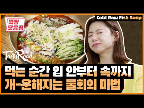 얄짤없는 언니 박수진의 명품 모듬 물회 먹방 | [다시보는 테이스티로드 : 먹방모음집] Cold Raw Fish Soup
