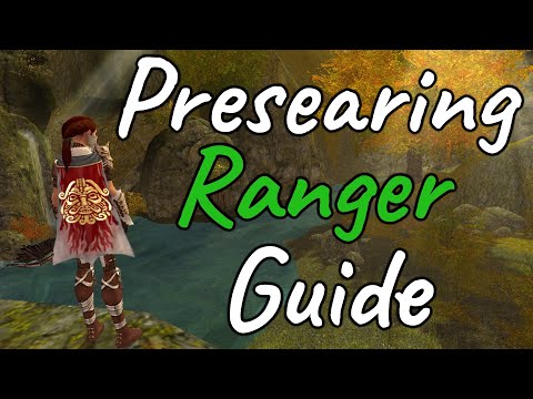 Everything I learned in 5 years of playing a Presearing Ranger
