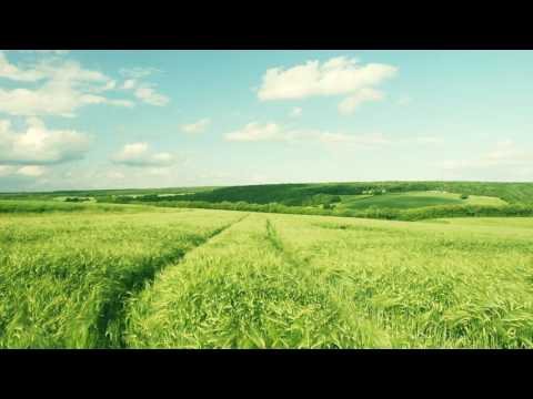 Spring In My Step - Silent Partner 1 hour