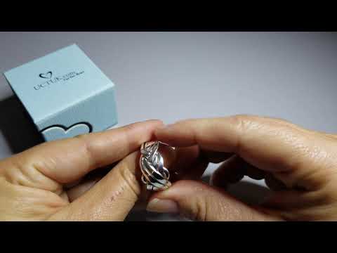 Puzzle Ring Solution/Instructions for the 6 Band Puzzle Ring 6FMS