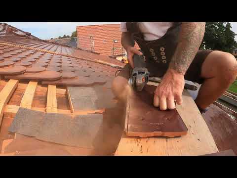 Hechtgaube in Biber decken