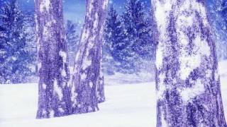 Inkubus Sukkubus - Holly King