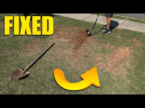 Fix and Repair Bare Spots in Lawns