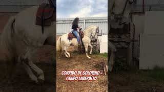 Corrido de solovino - grupo laberinto