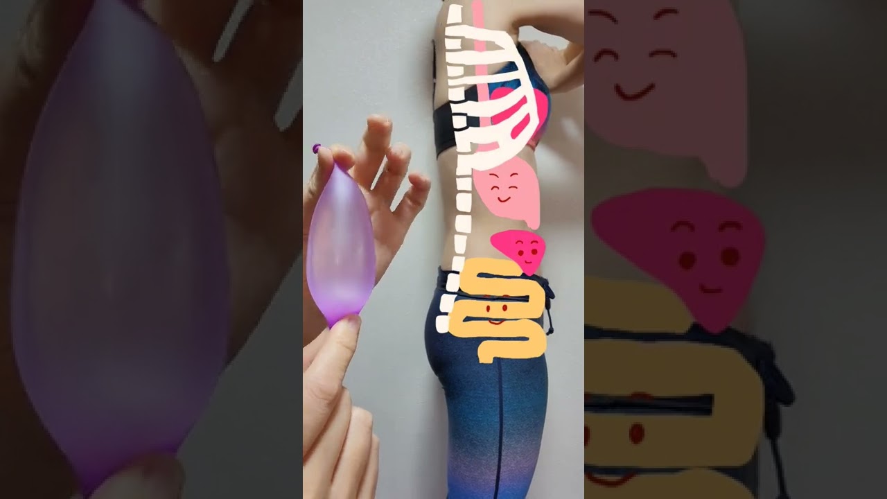 【お腹やせ】ぽっこりナス腹を秒で凹ます！内臓引き上げ呼吸で反り腰を治す！　#shorts  #お腹やせ #つまぷる