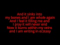 All That Remains - Passion Lyrics