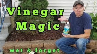 Vinegar Magic: Removing mold and mildew