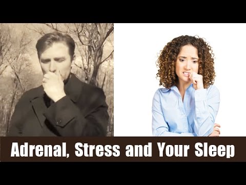 Adrenal Fatigue Is Cortisol Responsible for Your Diabetes Dr Berg