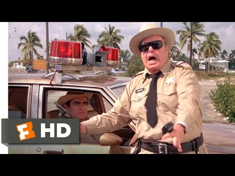 Smokey and the Bandit II (1980) - A Crack Shot Scene (2/10) | Movieclips