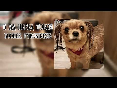 Pyrokinesis, BOOKER - В ад только перед тобой (speed up)