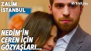 Download lagu Canım Çok Yanıyor😢 Nedim Ceren'i Teselli Ediyor - Zalim İstanbul 32. Bölüm mp3 Download lagu Canım Çok Yanıyor😢 Nedim Ceren'i Teselli Ediyor - Zalim İstanbul 32. Bölüm mp3