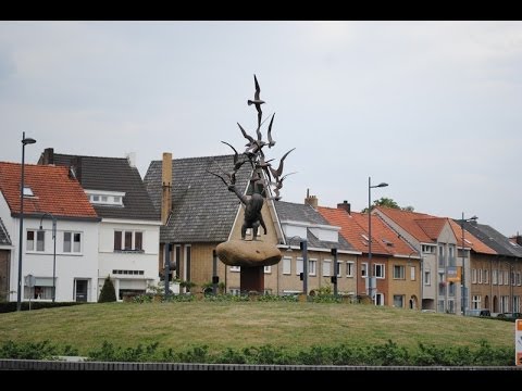Sjtrek die vleugels oet, mien Sjtad Remunj - Op Good Gelök