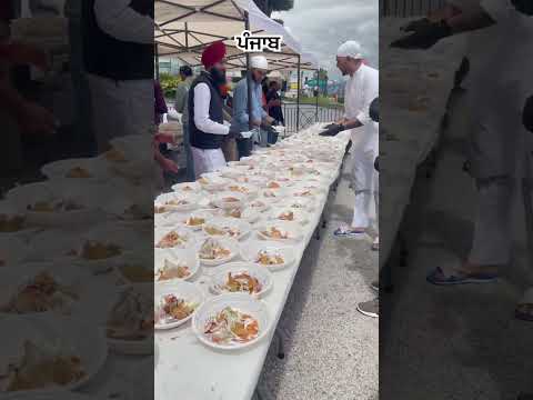 ਪੰਜਾਬ #punjabi #langar #travel #vlog #italy #roadtrip #worldtour #punjabisong #sikh #khalsa #trend