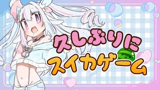 久しぶりに雑談しながらスイカゲーム🐰💉【＃こここ通信】