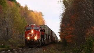 preview picture of video 'CN 2825 near Rathburn (19OCT2014)'