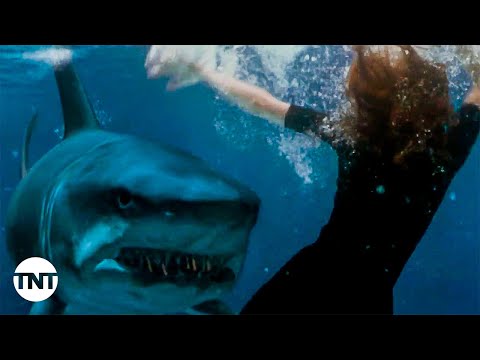 Susan, Carter, and Preach Defeat the Final Shark [CLIP] | Deep Blue Sea | TNT