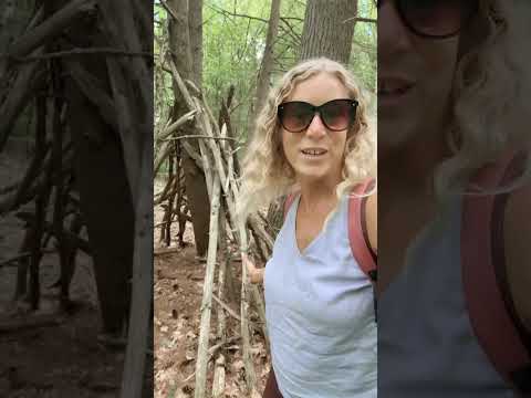 Video Thumbnail for The tree forts of Massachusetts