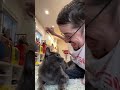 CAT SLAPS