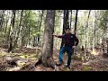 Downeast Lakefront Land | Maine Real Estate
