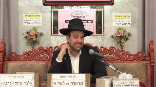 הרב מאיר אליהו | פרשת בלק | מוסאיוף - ה'תשפ"ה (הרב מאיר אליהו) - התמונה מוצגת ישירות מתוך אתר האינטרנט יוטיוב. זכויות היוצרים בתמונה שייכות ליוצרה. קישור קרדיט למקור התוכן נמצא בתוך דף הסרטון