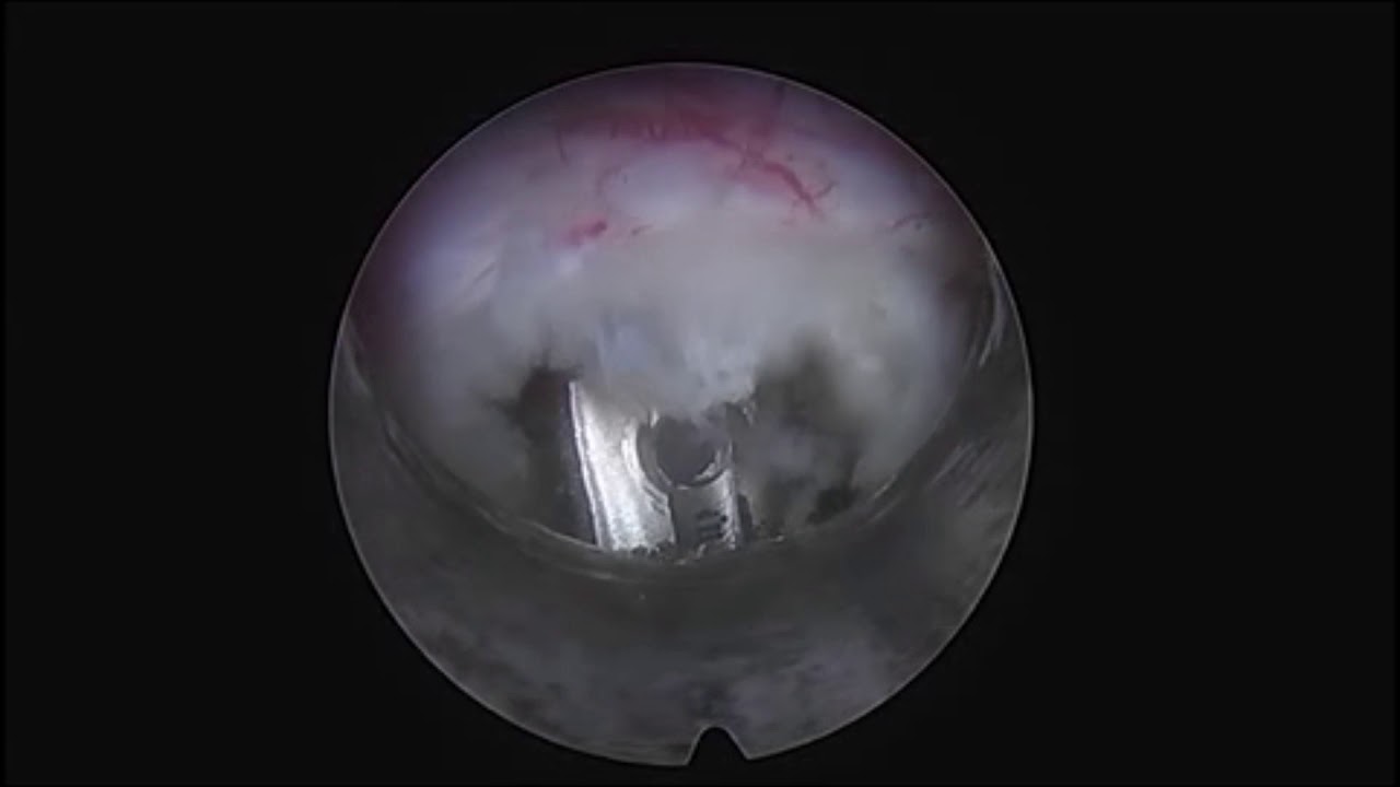 Luis Alberto Navarro Aceves-7