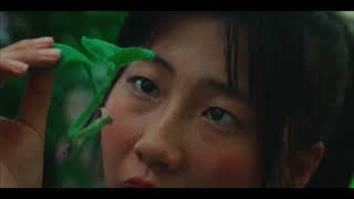 Roots That Reach Toward The Sky Trailer