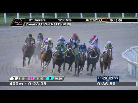 210207 c08 CHE CIELO