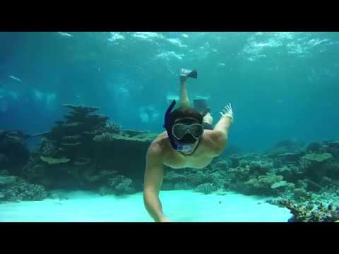 SHAZAM Summer Special Mix 2020 Music Chill Out