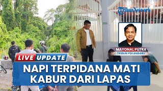 Warga Heboh! Tiga Napi Rutan Kelas IIB Siak Sri Indrapura Kabur, Dua Pelaku Kini Berhasil Diamankan