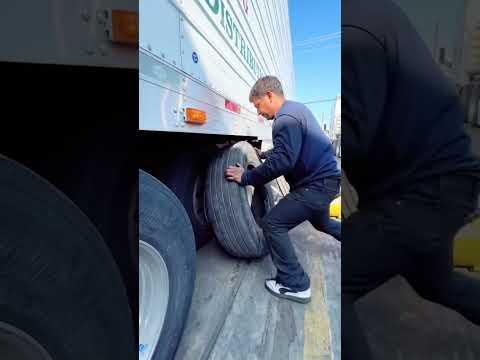 #fyp #foryou #parati