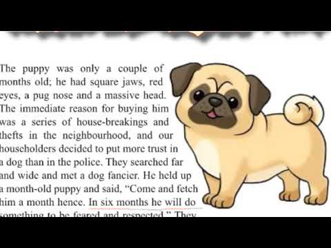 CLASS 7 UNIT 1a ATTILA (Part 1) JCERT textbook ( class recording)