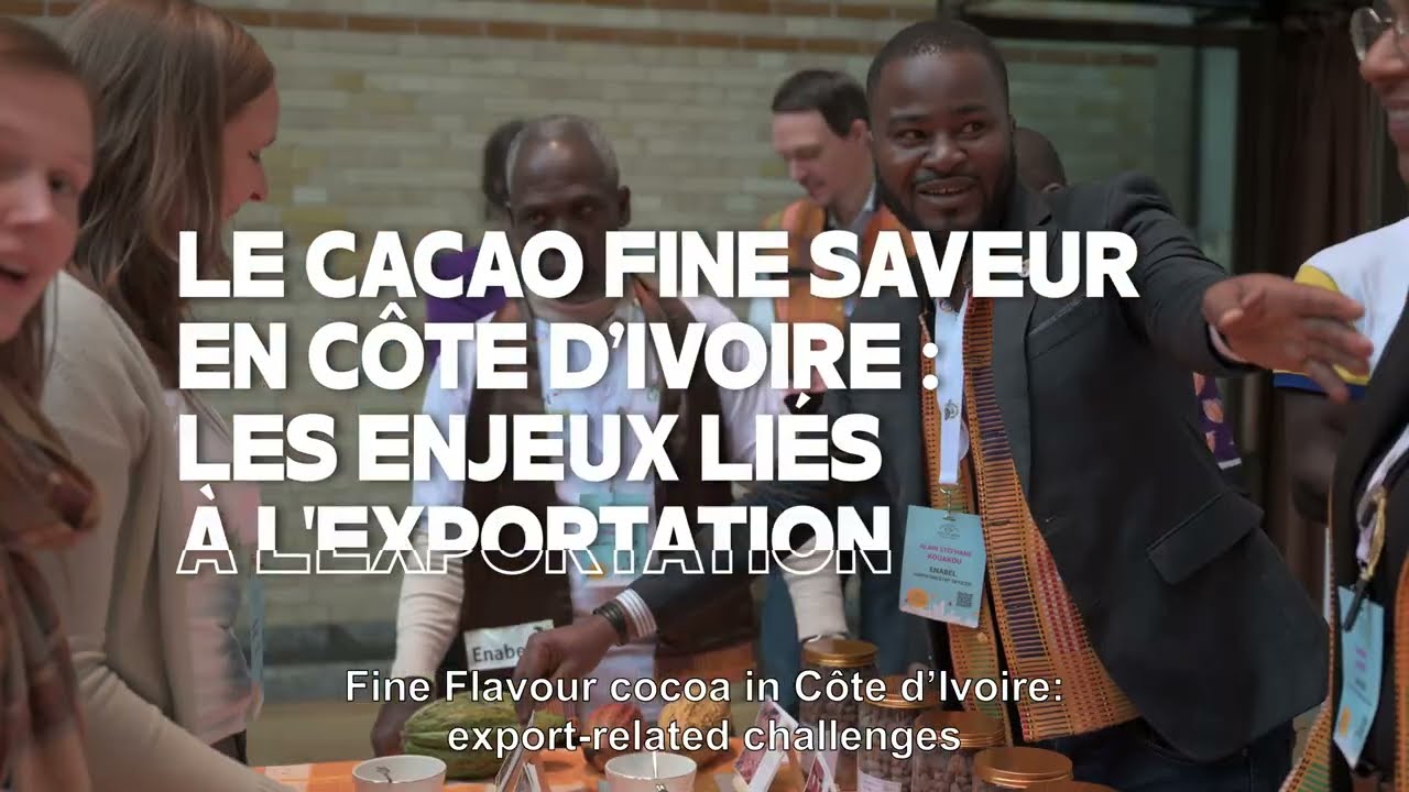 Le cacao fine saveur en Côte d'Ivoire: les enjeux liés à l'exportation