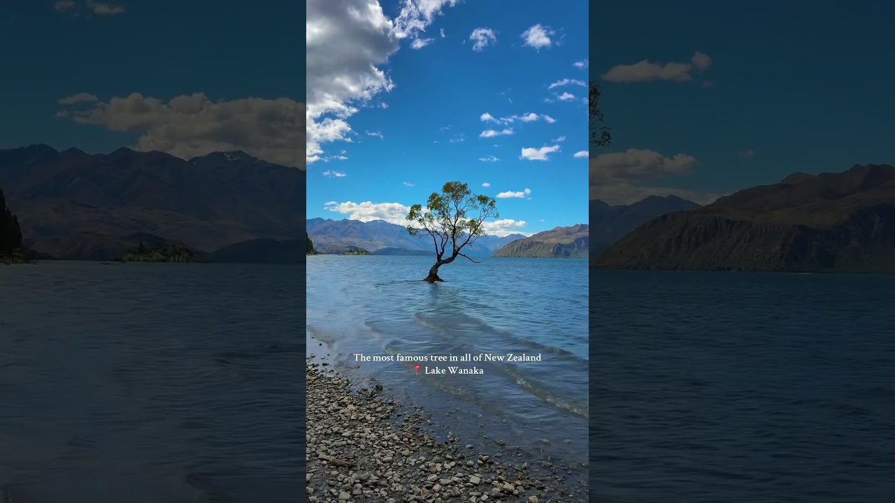 YouTube Short thumbnail