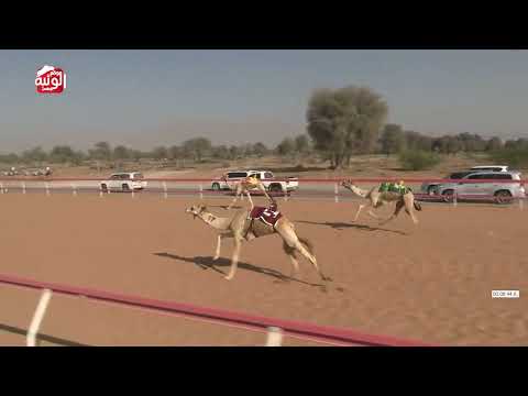  ش 10 (الشبابي) لـ انس هلال عبيد هلال العليلي 12:56 ، شارة الديوان 2026/2/21 ثنايا السوان