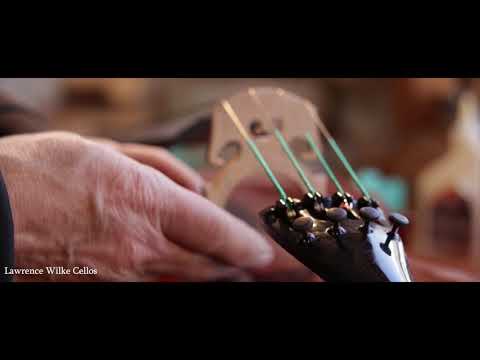download lagu mp3 mp4 Wilke Cello, download mp3 Wilke Cello free download mp3, download mp3 Wilke Cello