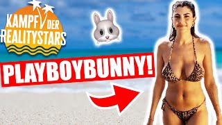 Kampf der Realitystars: DUMM aber HEISS!