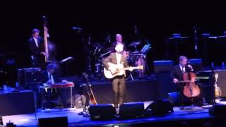 Lyle Lovett - If I was the man you wanted at Meadowbrook