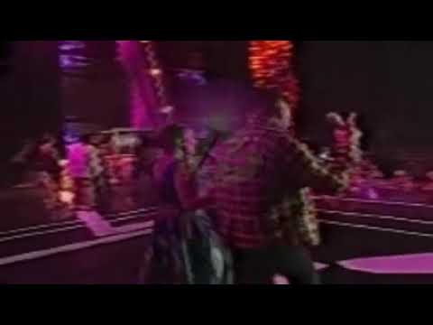 Bunga dan Kumbang  Beniqno Dan Titik DA2