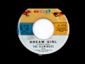 The Flamingos Dream Girl   1960 End 45  1092